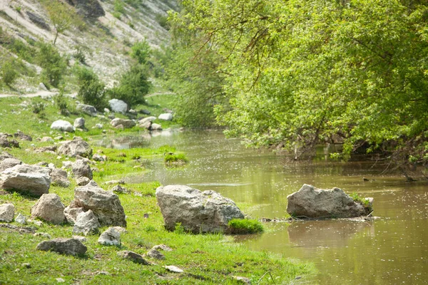 Naturligt Sommarlandskap Moldavien Grönt Fält Träd Och Blå Himmel Bra — Stockfoto