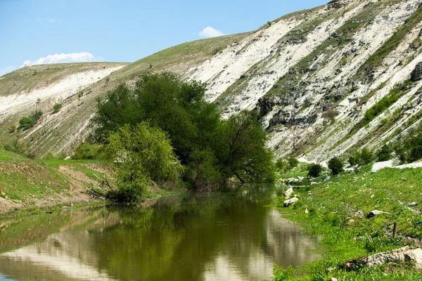 Naturalny Letni Krajobraz Mołdawii Zielone Pole Drzewo Błękitne Niebo Świetny — Zdjęcie stockowe
