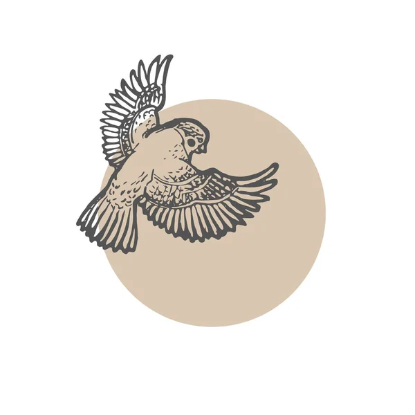 Boceto simple pájaro — Vector de stock