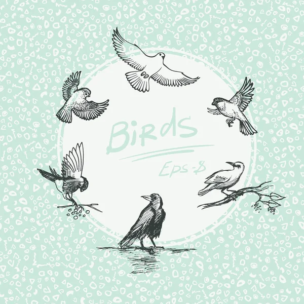 Juego de bocetos de pájaros — Vector de stock