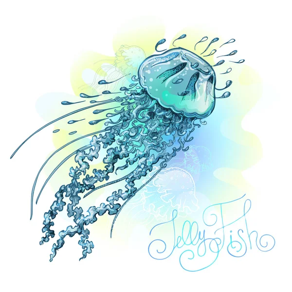 Jellyfish underwater. Undersea world. Fairy tale illustration for inspiration