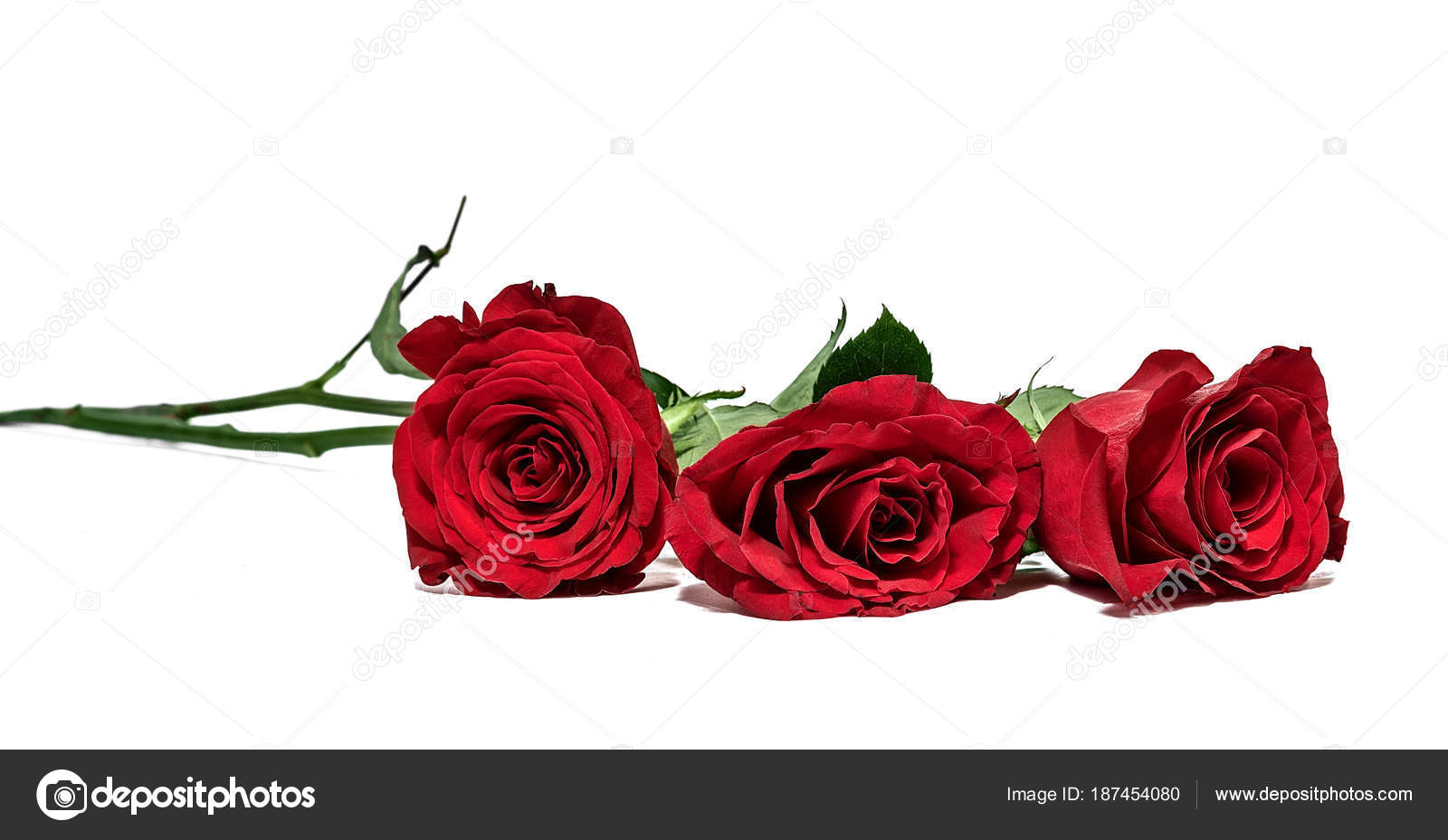 Featured image of post Rose Rosse Sfondi Particolari Immagini Belle