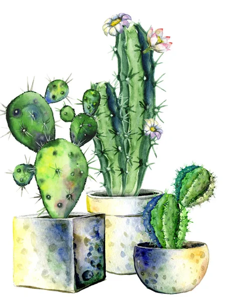 Composition of several watercolor painted blooming cacti in light ceramic pots. Can be used for postcards, posters