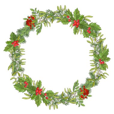 Noel tatili çelengi. Yeşil yapraklı kırmızı bayram meyvesi ve...