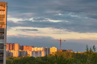 Under construction residential complex of multi-storey buildings near the forest. Affordable green housing.