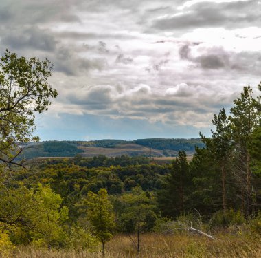 Photo of autumn forest on chalk hills.