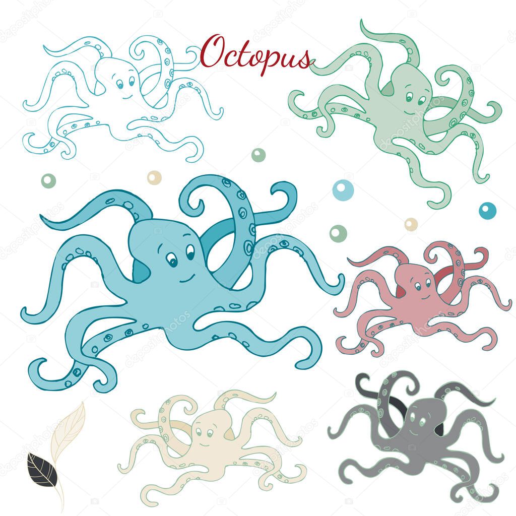 Vector image of several cartoon octopuses on a white background with the words OCTOPUS.