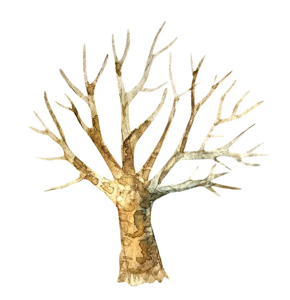 Disegno ad acquerello di un albero senza fogliame isolato su uno sfondo bianco — Foto Stock
