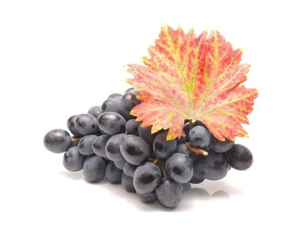 Grapes with leaves — Stock Photo, Image