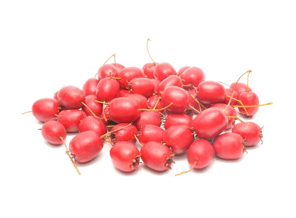 Hawthorn berries isolated on white background — Stock Photo, Image