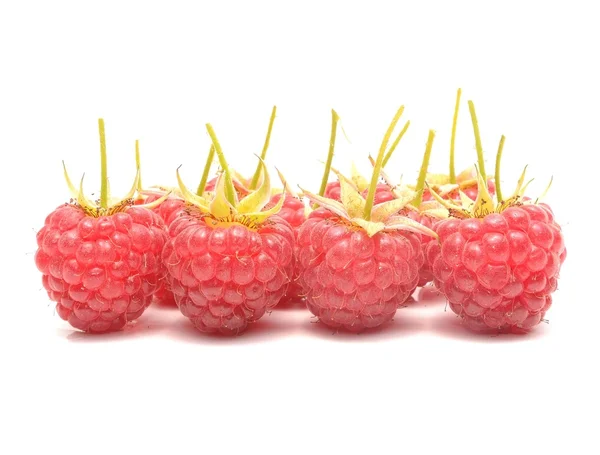 Ripe raspberries isolated on white background — Stock Photo, Image