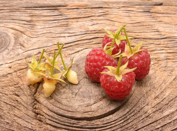 Ripe fresh raspberries — Stock Photo, Image
