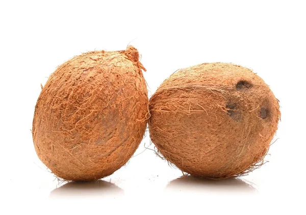 Isolado de coco sobre fundo branco — Fotografia de Stock