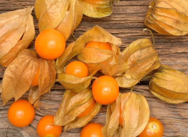 Physalis maduro sobre fondo de madera — Foto de Stock