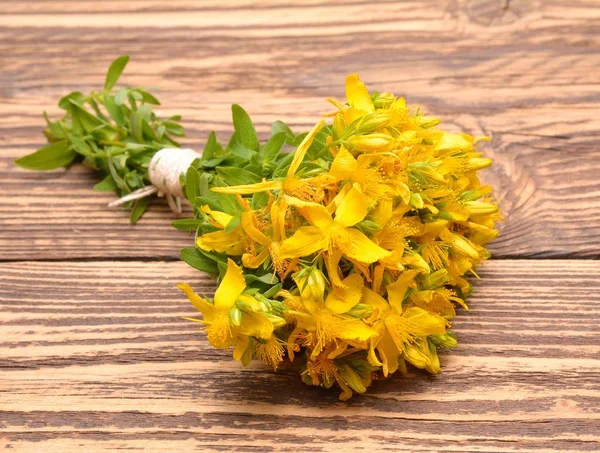 Flores amarillas frescas Hypericum —  Fotos de Stock