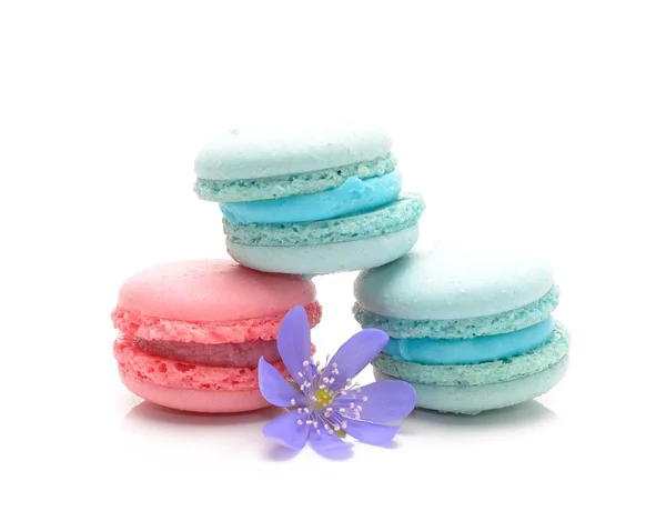 Saborosos biscoitos macaroon — Fotografia de Stock