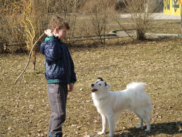 Menino treinando seu cão — Fotografia de Stock