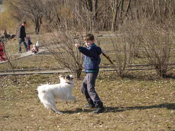 Chłopiec szkolenia jego pies — Zdjęcie stockowe