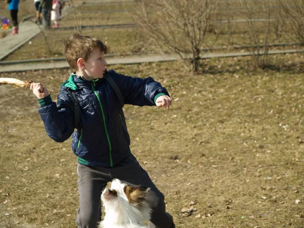 Boy training his dog — Stock Photo, Image