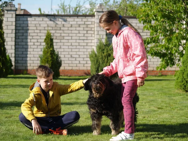 Niños acariciando un perro —  Fotos de Stock