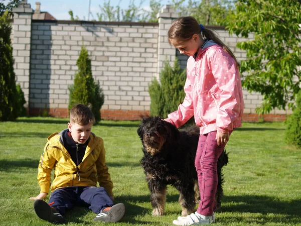 Niños acariciando un perro —  Fotos de Stock