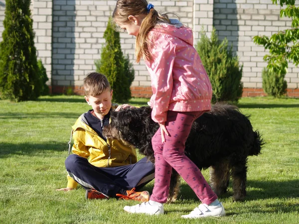 Niños acariciando un perro —  Fotos de Stock