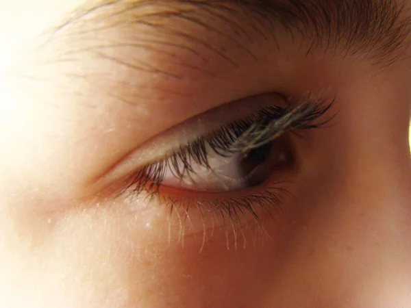 Eyes — Stock Photo, Image