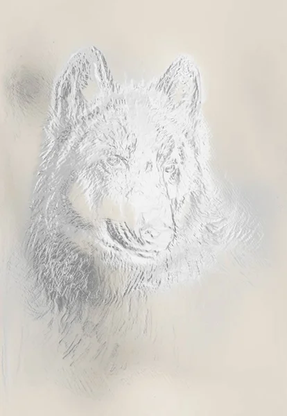 不思議な空間のオオカミ、多色コンピューター グラフィック コラージュ。金属とガラスの効果. — ストック写真