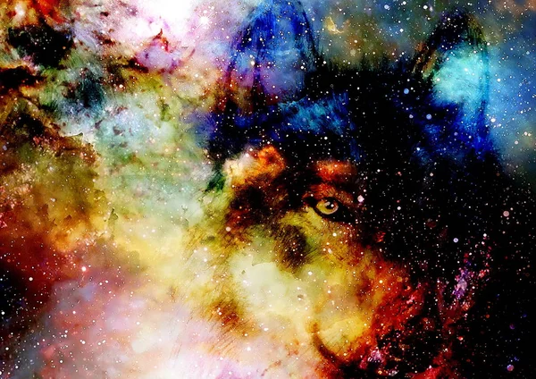 Espacio mágico lobo, collage gráfico multicolor ordenador. — Foto de Stock
