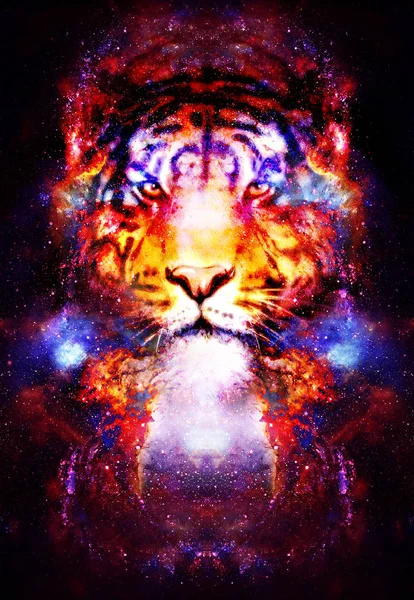 Magiska utrymme tiger, multicolor dator grafiska collage. Utrymme brand. — Stockfoto