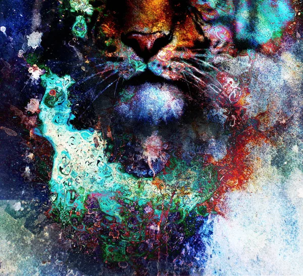 Machtige Aziatische tijger hoofd op abstracte multicolor gestructureerde backgr. — Stockfoto