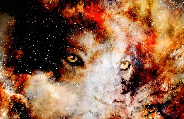 마법의 우주 늑대, 멀티 컬러 컴퓨터 그래픽 콜라주 — 스톡 사진