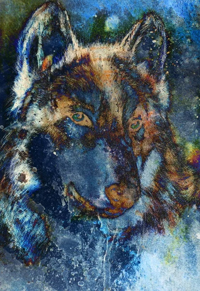 Cabeza de lobo de madera sobre fondo abstracto estructurado, collage gráfico multicolor . — Foto de Stock