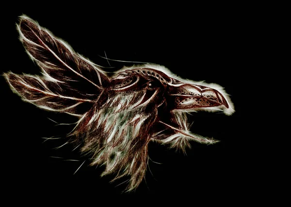 Dibujo de cuervo con plumas y efecto fractal . —  Fotos de Stock