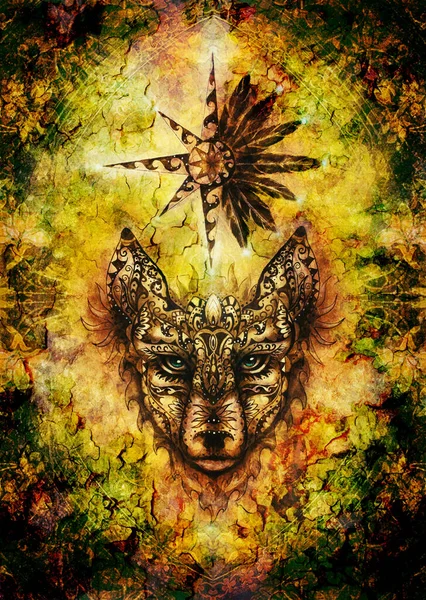 Pintura ornamental de lobo, animal sagrado e estrela ornamental com penas e merkaba . — Fotografia de Stock
