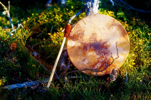 Shamanic drum in nature, shamanic drum made of deer goat. — Stock Photo, Image