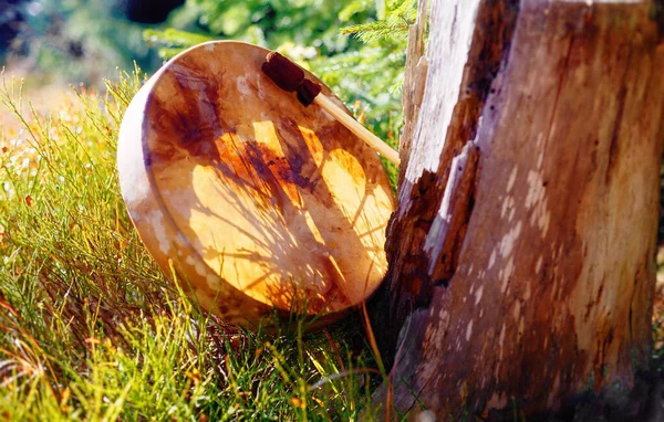 Tambour chamanique dans la nature, tambour chamanique en chevreuil chèvre. — Photo