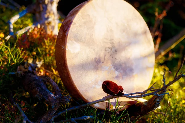 Tambor chamánico en la naturaleza, tambor chamánico hecho de cabra de ciervo. — Foto de Stock