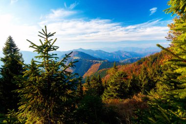 Güzel dağ manzarası, sonbahar çayırları ve ağaçlar.