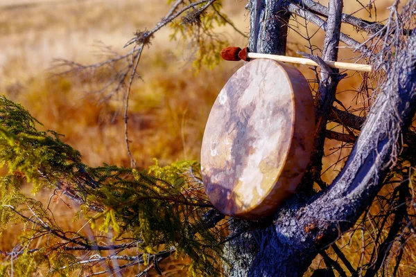 Tambor chamánico en la naturaleza, tambor chamánico hecho de cabra de ciervo. —  Fotos de Stock