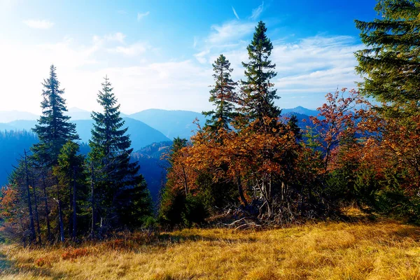Bela paisagem montanhosa, prados de outono e árvores . — Fotografia de Stock