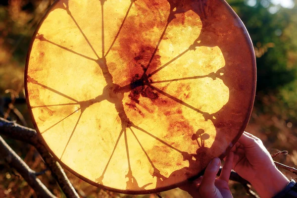 Tambor chamánico en la naturaleza, tambor chamánico con setas mágicas . — Foto de Stock