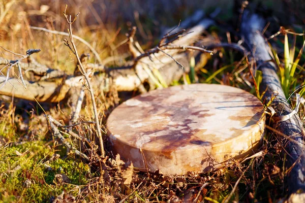 Doğada şamanik davul, geyik keçisinden yapılmış şamanik davul.. — Stok fotoğraf