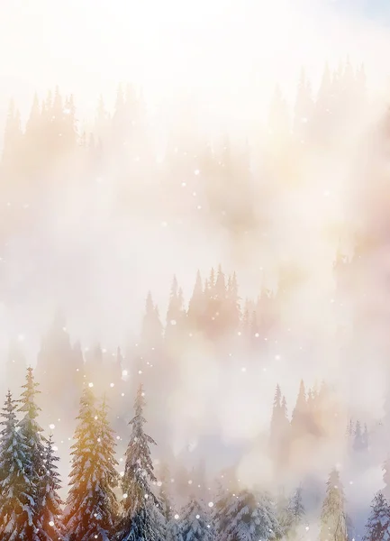 高山雪景和积雪覆盖的树木，图解效果. — 图库照片