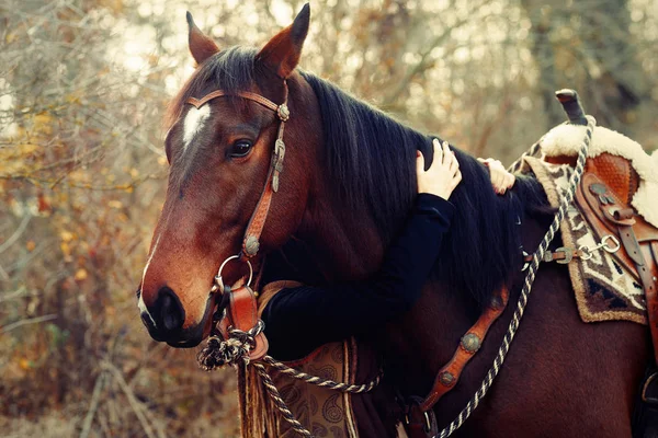 Portrait femme et cheval à l'extérieur. Femme étreignant un cheval. — Photo