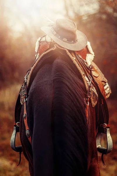 Detalhe de sela de cavalo bonito com texturas naturais e um chapéu. — Fotografia de Stock
