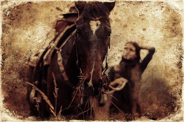 Junges schönes Mädchen im Freien mit ihrem wahren Pferd. — Stockfoto