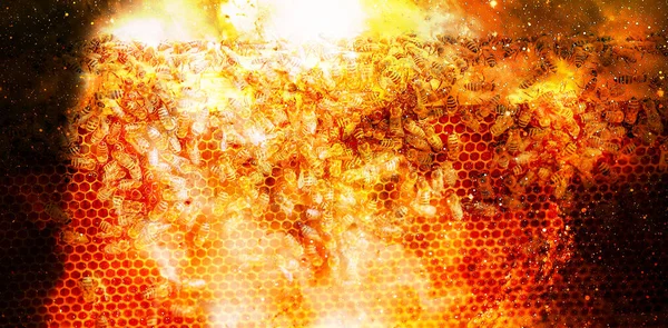 Bee honeycombs with honey and bees on abstract structured space background. — 스톡 사진