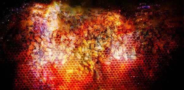 Bee honeycombs with honey and bees on abstract structured space background. — 스톡 사진