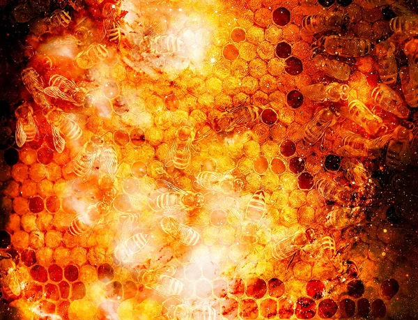 Bee honung kammar med honung och bin på abstrakt strukturerad utrymme bakgrund. — Stockfoto